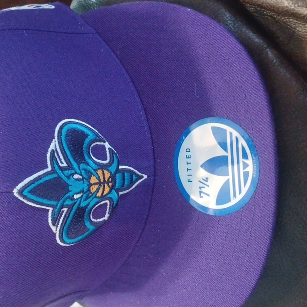 Hornets - Picture 2 of 6
